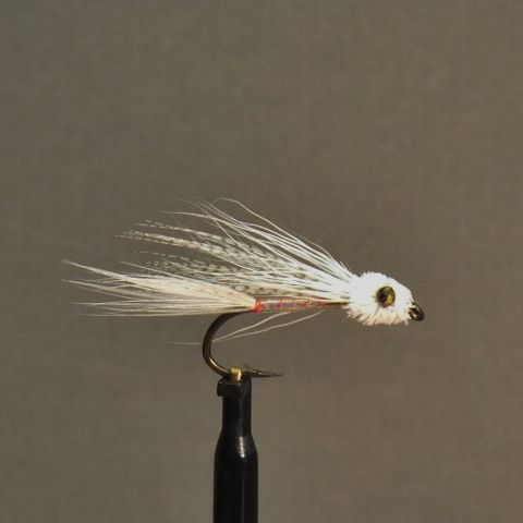 Minnow 2