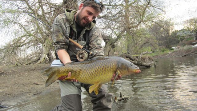 First fish of 2014 for me.  It took a hybrid (soft hackle / san jaun hybrid)