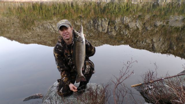 Spring brookie