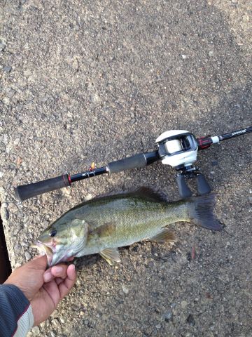 River Smallie