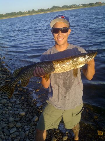 Pike From Shore