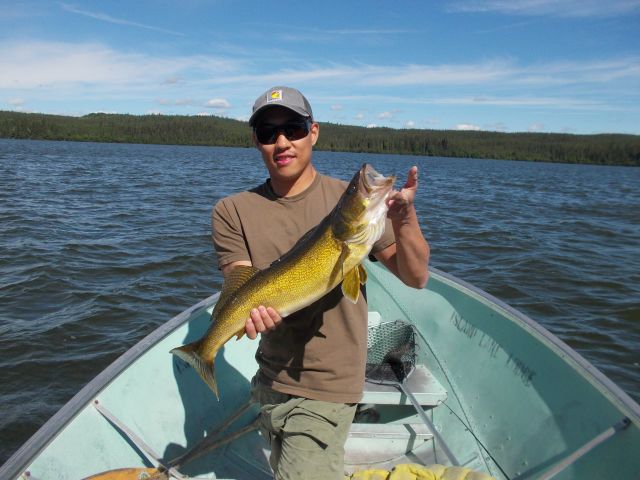 Walleye