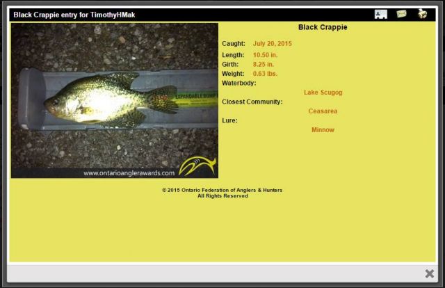 Lake Scugog 10.5 inch Black Crappie OFAH AWARD