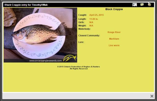 Rouge River 11 inch Black Crappie OFAH AWARD