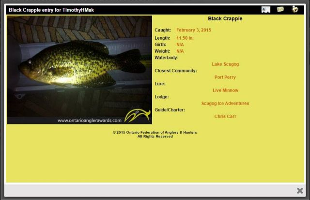 Lake Scugog 11.5 inch Black Crappie OFAH AWARD