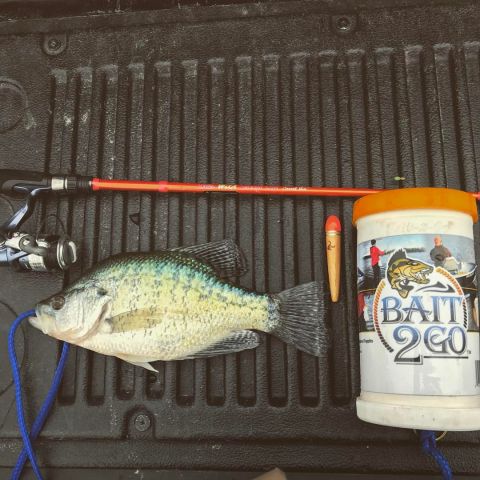 Perfect setup for a shore lunch