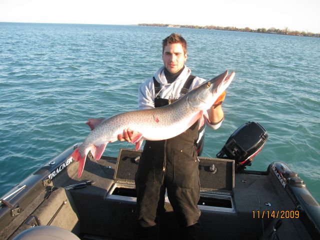 PB muskie