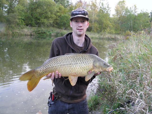 Nith River, Fall Carp