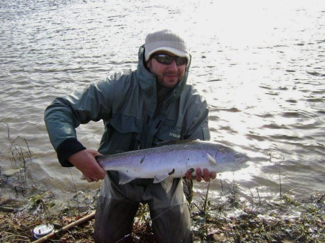 November Steelhead.