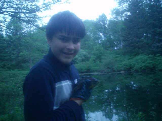 bluegill at mount pleasent ponds