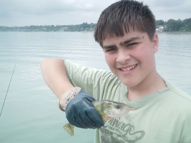 10 inch yellow perch at port dover